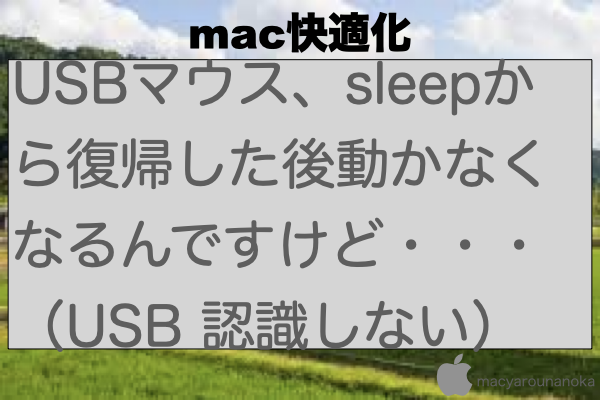 USBマウス、sleepから復帰した後動かなくなるんですけど・・・（USB 認識しない）のイメージ