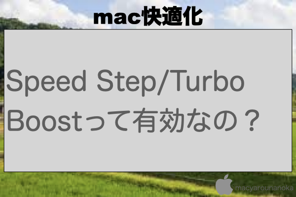 Speed Step/Turbo Boostって有効なの？のイメージ