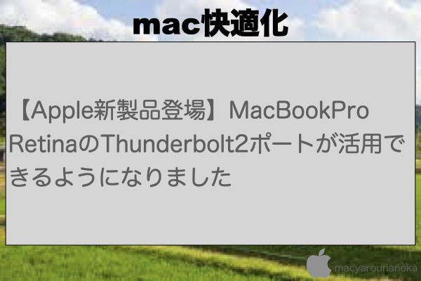 【Apple新製品登場】MacBookPro RetinaのThunderbolt2ポートが活用できるようになりましたのイメージ