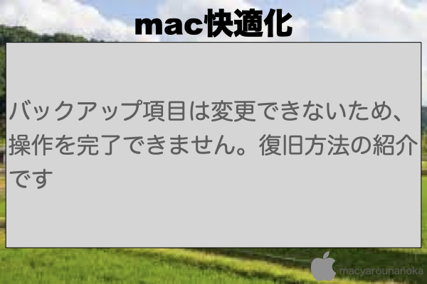 バックアップ項目は変更できないため、操作を完了できません。復旧方法の紹介ですのイメージ