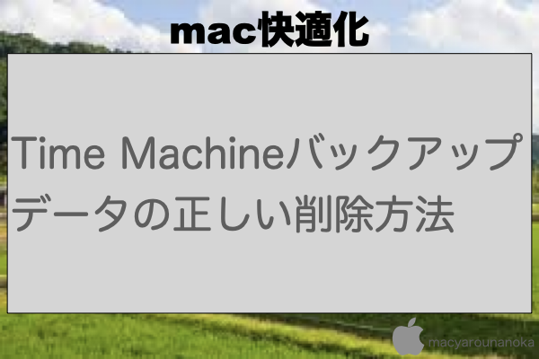 Time Machineバックアップデータの正しい削除方法のイメージ