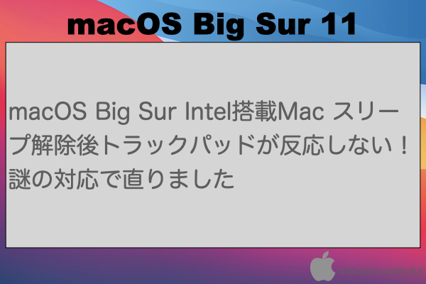 macOS Big Sur Intel搭載Mac スリープ解除後トラックパッドが反応しない！謎の対応で直りましたのイメージ