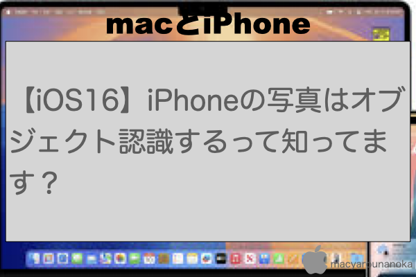 【iOS16】iPhoneの写真はオブジェクト認識するって知ってます？のイメージ